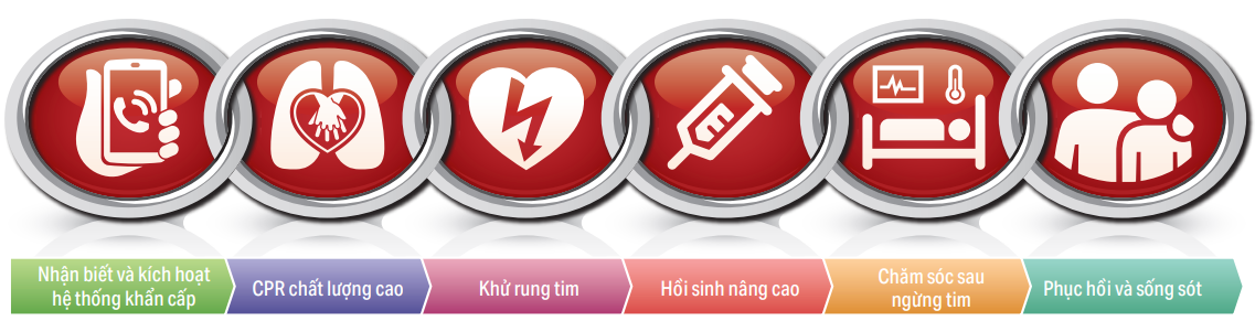 Chuỗi sinh tồn ngoại viện (OHCA Chain of Survival) theo khuyến nghị AHA 2025 - sáu mắt xích liên hoàn giúp tối đa hóa cơ hội sống sót sau ngừng tim đột ngột (đột tử)